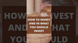 HOW TO INVEST AND IN WHAT YOU SHOULD INVEST