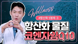 [웰니스 클리닉] 항산화 물질 5형제! 코엔자임Q10, 코큐텐의 효능!