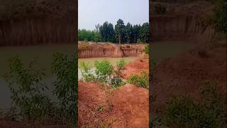 লাল মাটির পুকুর #nature #shortvideo #shorts