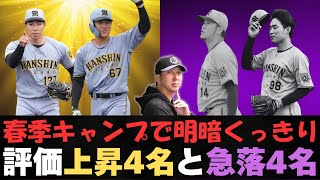 【序列激変】春季キャンプで評価爆上げ4名と評価急落4名！【阪神タイガース】