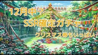 【戦国炎舞】 12月初め　SSRガチャ　クリスマス券もたくさん