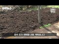 자막뉴스 유통업체 직원들 거짓말에 한해 농사 다 망친 농민들 kbs 2024.04.22.