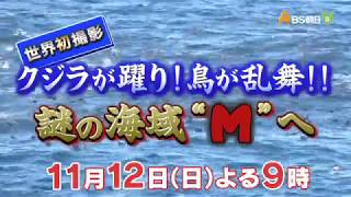 世界初撮影！クジラが踊り！鳥が乱舞！謎の海域 “Ｍ” へ！