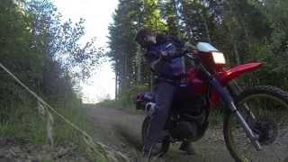 Dirt Biking Washington State Suzuki sp200 Walker Valley