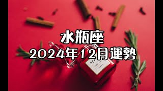 水瓶座2024年12月運勢✨+指引🎁