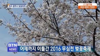 [BTN뉴스]청주 용화사 무심천 벚꽃축제