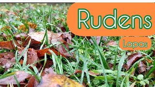 Rudens. Kas tas par gadalaiku? Kas notiek rudenī? Rudens lapas.