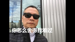 你怎么舍得我难过 2020