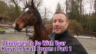 3 Groundwork Exercises To Do With Your Horse in Small Spaces Part 1