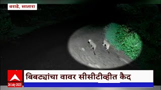 Satara Leopard :सातारा जिल्ह्यातील वराडे गावात बिबट्याची दहशत