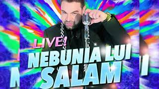 Florin Salam   Nebunia lui Salam   Colaj Manele Live partea 6