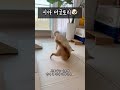 더글로리 시바진도버전🐶 여기까지 오는데 우연은 한줄도 없었어 연진아 shorts