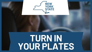 NY DMV: How to Turn in Plates (Step-by-Step Guide)