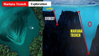 Mariana Trench Exploration Tamil - உலகின் மிக ஆழமான பகுதி- வினோத உயிரிணங்கள் வாழும் இடம்