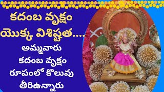 కదంబ వృక్షం యొక్క విశిష్టత....అమ్మవారు కదంబ వృక్షం రూపంలో కొలువు తీరి ఉన్నారు ##viral ##trending##