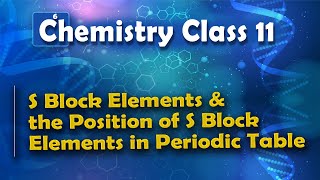 S Block Elements and the Position of S Block Elements in Periodic Table - Chemistry Class 11