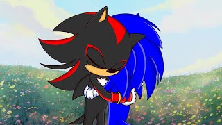 Shadow's forgiveness [Sonic Boom cartoon animation]