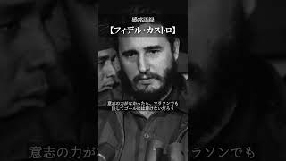 【感銘語録】フィデル・カストロ④－心地よい名言を癒しの語り （意志の力がなかったら、マラソンでも決してゴールには着けないだろう。ゴールが近いか遠いかは問題ではないのだ）#名言 #癒やしの朗読