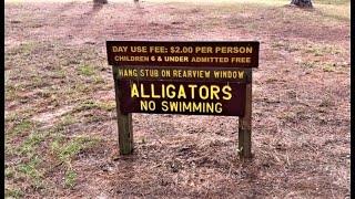 Hurricane Lake, Blackwater River State Forest - Fl - Campground Review