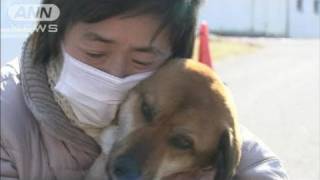 【地震】奇跡！海で3週間漂流の犬が無事飼い主に（11/04/04）