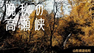 紅葉の晩秋の高瀬峡を散策　蔭ノ滝と大滝　[山形県遊佐町]  Takase gorge