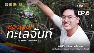 The Journey of มหัศจันท์แห่งรสชาติ EP6 : ทะเลจันท์