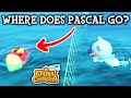 Following Pascal Past The Ocean Barrier | Animal Crossing New Horizons