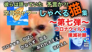 しゃべる猫集〜第七弾〜2020.2.29