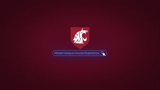 Global Campus Course Experience