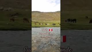 Mi navidad en pueblito mágico #tantalimaperú #RPNYC #naturaleza #Textanta