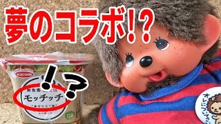 モッチッチをモンチッチが食レポ！？【モンチッチシリーズ#39】