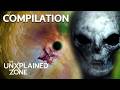 Top 10 Alien Encounters! (Compilation) | Ancient Aliens | The UnXplained Zone