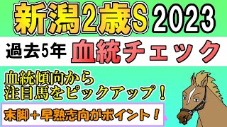 新潟2歳ステークス2023 考察 過去5年血統チェック【バーチャルサラブレッド・リュウタロウ/競馬Vtuber】