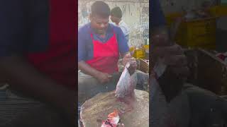 KASIMEDU🔥MR.SELVAM HUGE BIGG BLACK POMFRET FISH CUTTING #shortsfeed #shorts #kasimedu #fishcutting