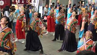 高松よさこい連（よさこい2018 全国大会・帯屋町筋）