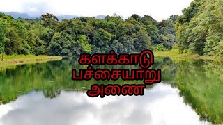 களக்காடு பச்சையாறு தலையணை தமிழ்நாடு சுற்றுலா தளம்.#kalakadudam#tamilnadutouristplace #tourism