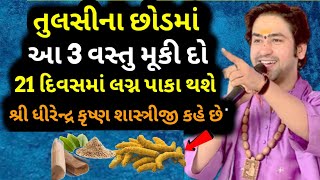 તુલસીના છોડમાં આ 3 વસ્તુ મૂકીદો કુંડલીમાં ગ્રહદોષ લગ્નમાં બાધા | Vastu Shastra | Vastu tips