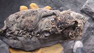 Discovered in a cave in Armenia, this shoe dates back over 5000 years