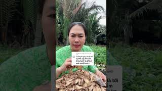 uống 2 ngày tới kỳ kinh