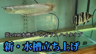 新しい水槽を購入しました！90cm水槽肉食魚混泳！シリーズ