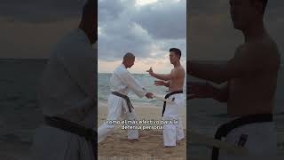 Karate Uechi Ryu - El mejor Karate para defensa personal