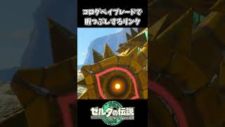 【ティアキン】コログベイブレードを作って暇つぶしするリンク【ゼルダの伝説 ティアーズ オブ ザ キングダム】