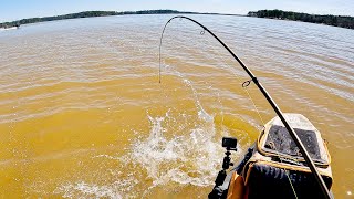 The Bite was COMPLETELY INSANE! | NON-STOP Action Kayak Fishing for Hybrid Striped Bass