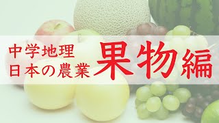 【中3 中2】日本の農業③ 果物編