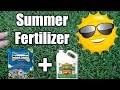 Best Summer Fertilizer for Lawns