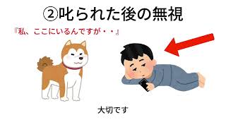 雑学『犬が本当にやめてほしい事②』＃犬、＃雑学、＃犬雑学、＃いぬ、＃豆知識、＃愛されているサイン、＃VOICE VOX（青山龍星）