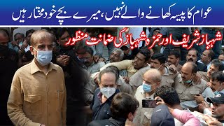Shahbaz Sharif And Hamza Shahbaz Bail Approved