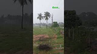 Rainy Season in INDIA 🇮🇳  #rain #vizag #season #monsoon #weather #sawan