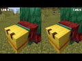 News in Minecraft 1.20.5 - The Armored Paws Drop!