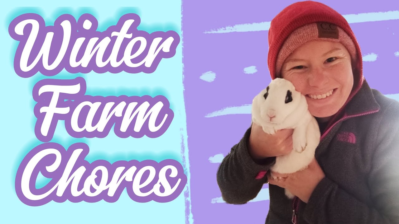 Winter Farmstead Chores Youtube
